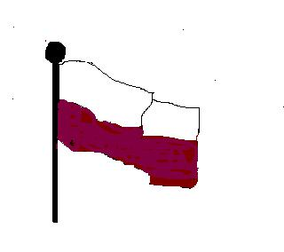 Bandera Institucional
