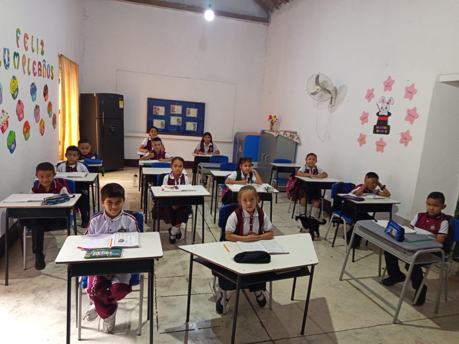 Básica Primaria